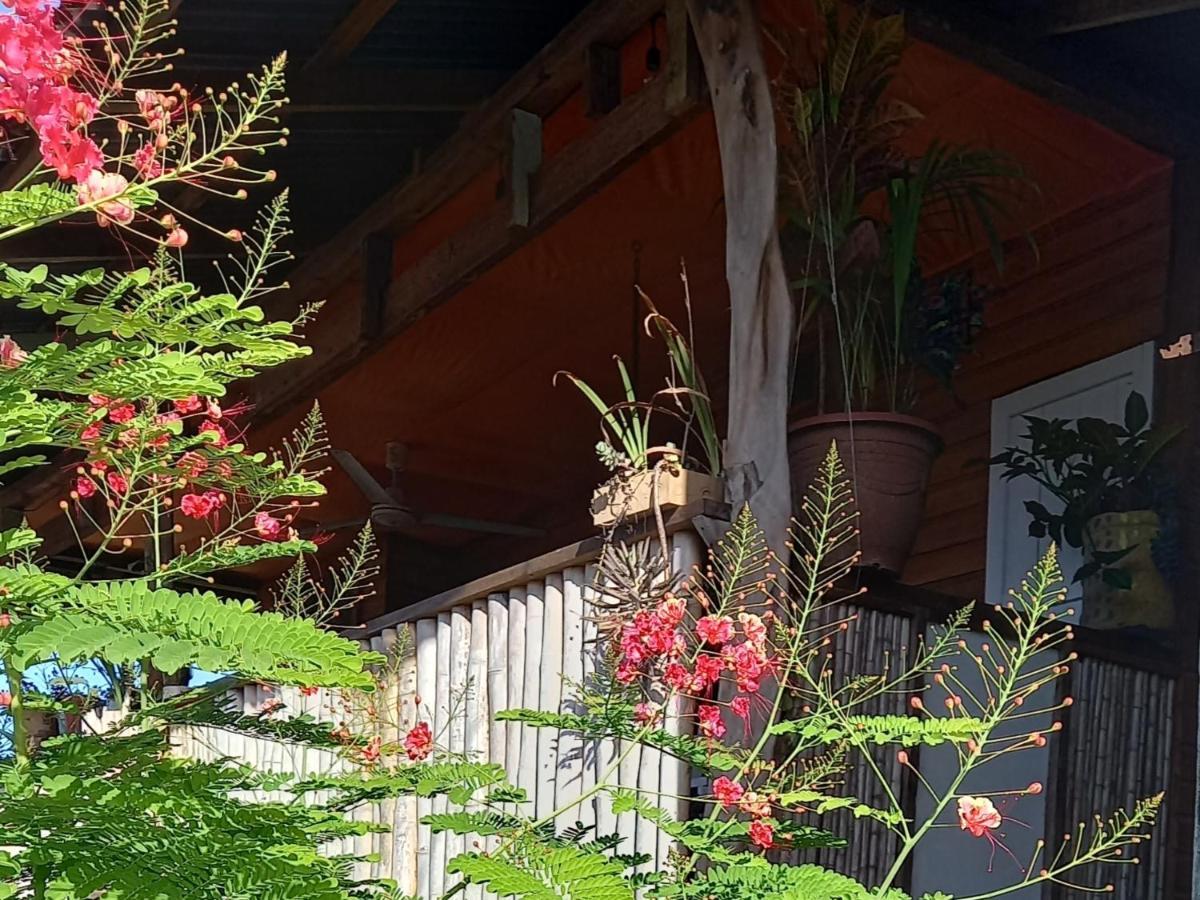 Casa Lumiere Daire Bocas Town Dış mekan fotoğraf