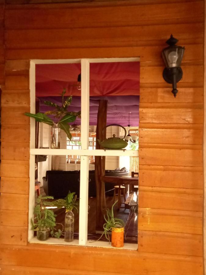 Casa Lumiere Daire Bocas Town Dış mekan fotoğraf